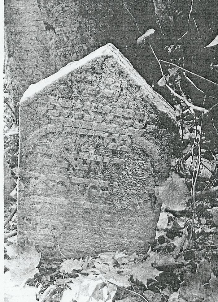 VM1843