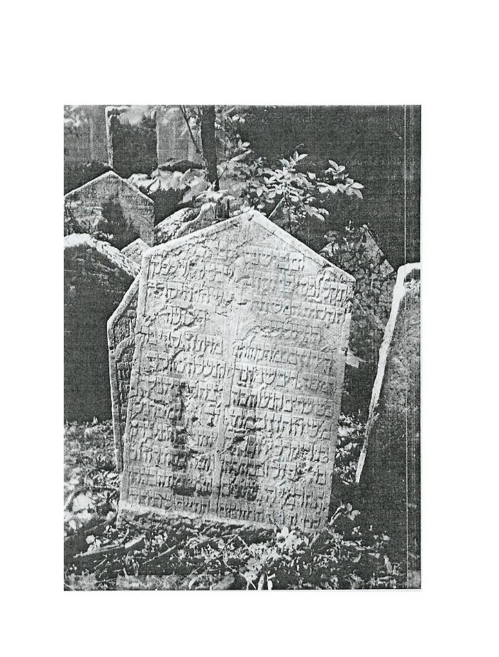VM1844