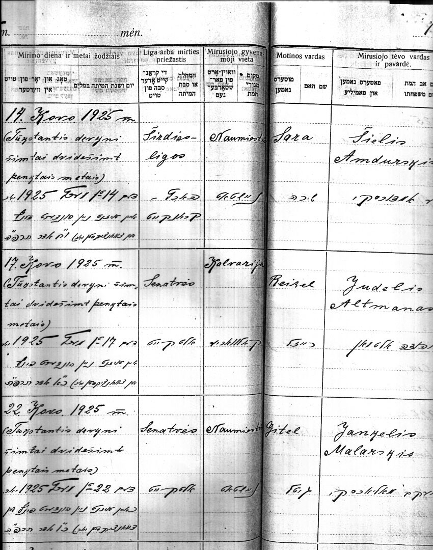 VM1907