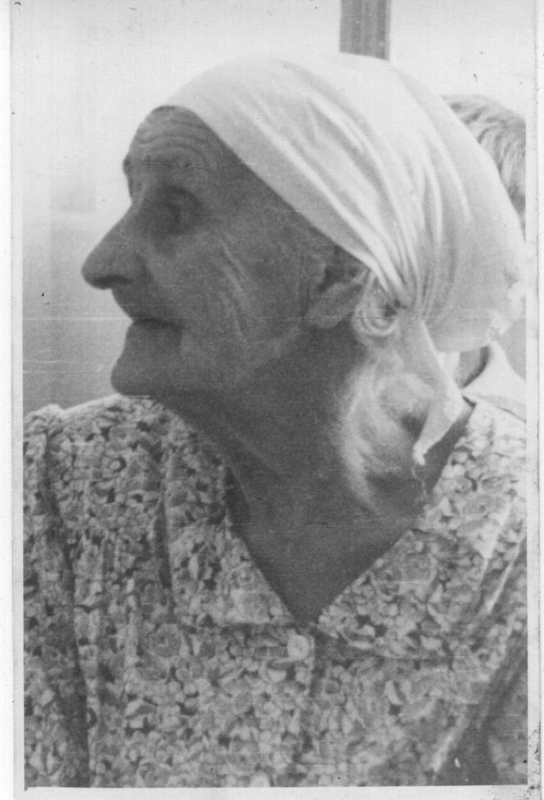 VM1945