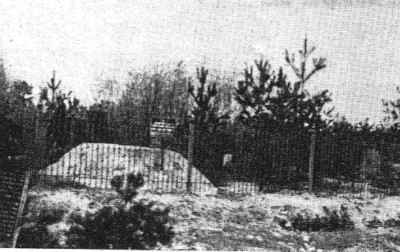 byb220.jpg