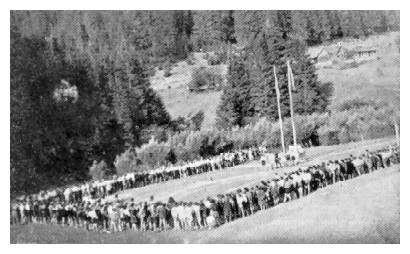 b1_148f1.jpg [23 KB] - Das letzte Treffen im Sommerlager (Jakobeni 1947)