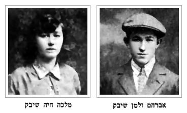 Abram Zalman and Malka Chaja Siwek - dab686c.jpg [22 KB]