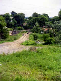 Kop478a.jpg