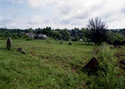Kop478b.jpg