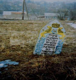 Kop479a.jpg