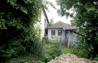 Kop481c.jpg