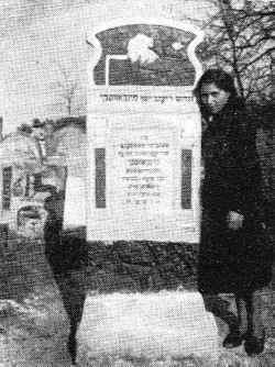 Prz154.jpg