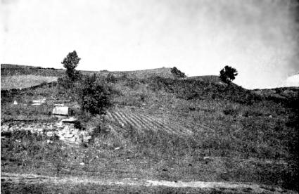 san025a.jpg [26 KB] - The Talmud Torah building and its synagogue hall