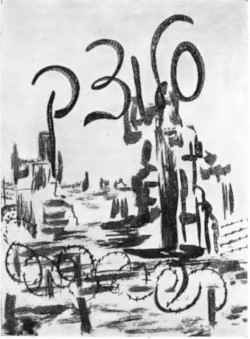 slu381.jpg