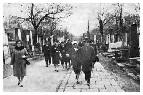 Sos521b.jpg [28 KB] - In the Gensza Cemetery in Warsaw in 1947