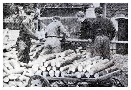 Sos613a.jpg [35 KB] - Agricultural training on the Zionist youth kibbutz