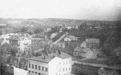 tere048.JPG