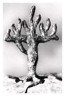 Zag281.jpg [15 KB] - Menorah by Rechl (Rela) Gutman