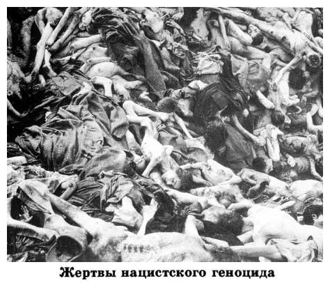 bel427.jpg Victims of Nazi genocide [43 KB]