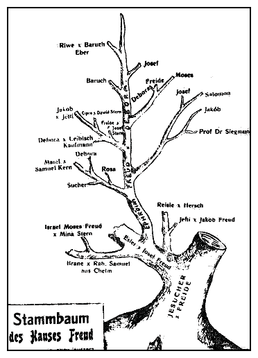 buc506c.gif [26 KB] - Sigmund Freud's family tree