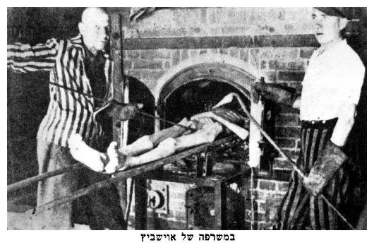 dab431.jpg [42 KB] - In the Auschwitz crematorium