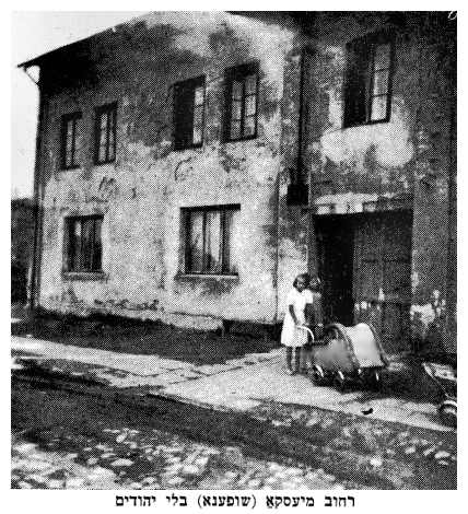 dab453.jpg [43 KB] - Mieszka (Szopena) Street without Jews
