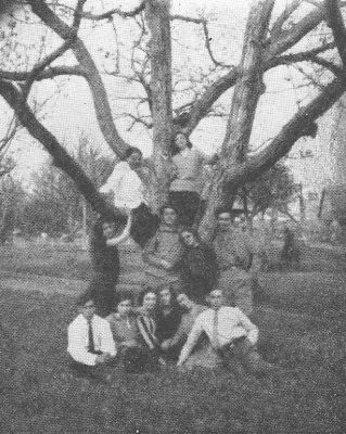 kal209.jpg The youth 'dream' about contact with nature but in the meantime they have fun under a 'fantastic' tree in the public park [38 KB]