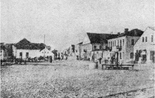 Kob089b.jpg