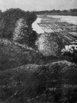 Kob092a.jpg