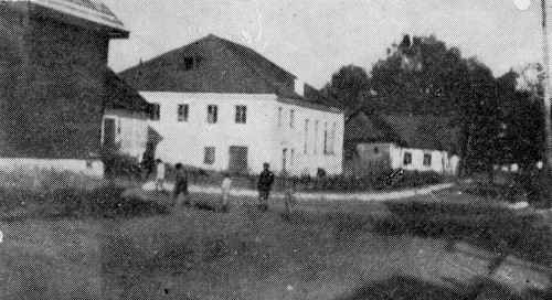 mir457.jpg