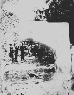 Rzee096.jpg