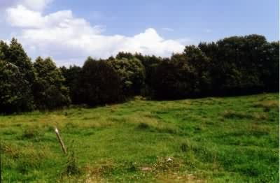 Looking across farmer's field to location of Jewish cemetery ruins