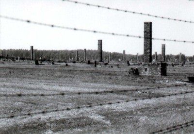 Remains of barracks at Auschwitz-Birkenau