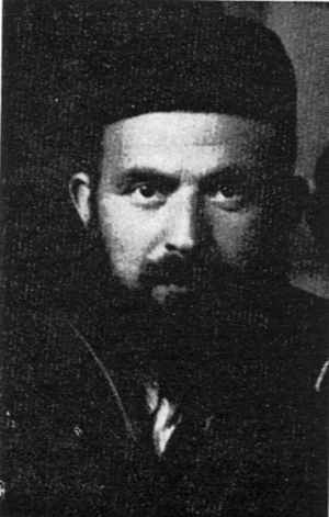 zel203.jpg
