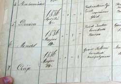 Sample Birth Record #2