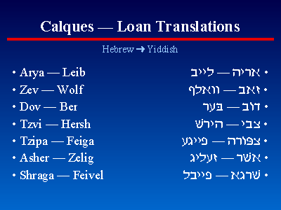 Calques -- Loan Translations
