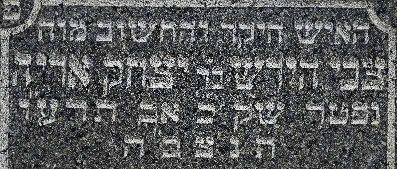 VM114231