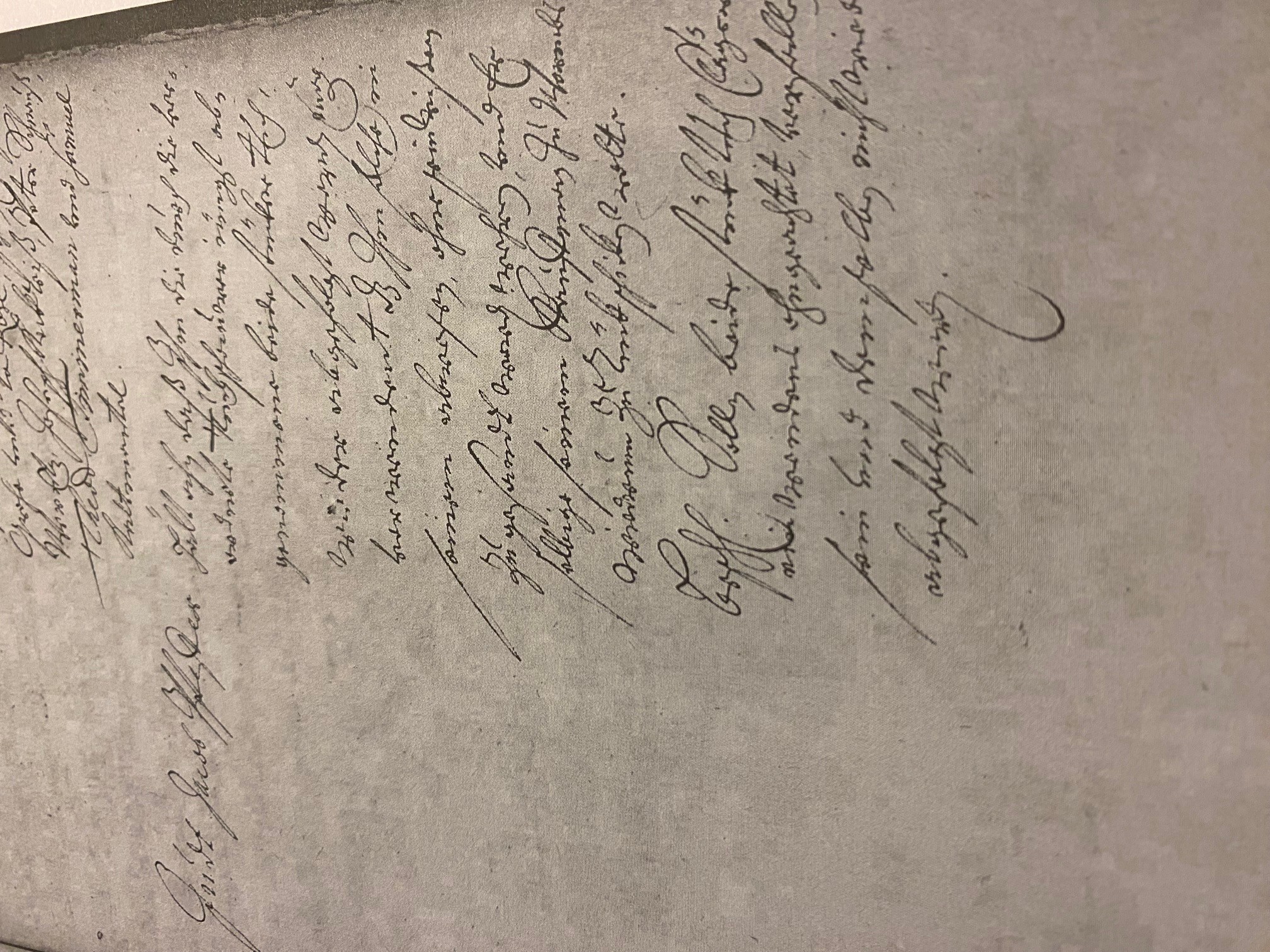 VM114381