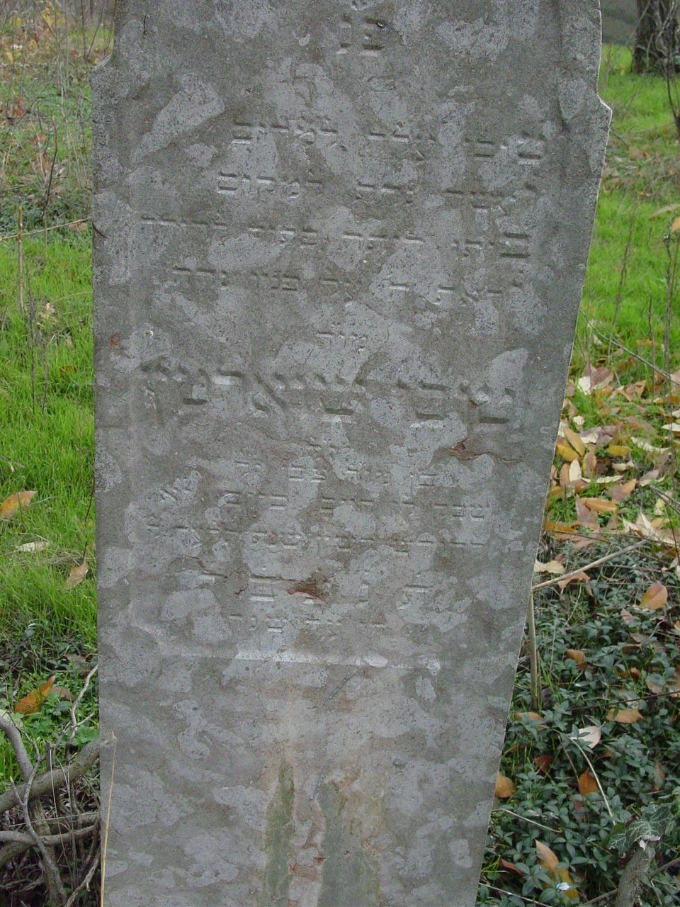 VM114613