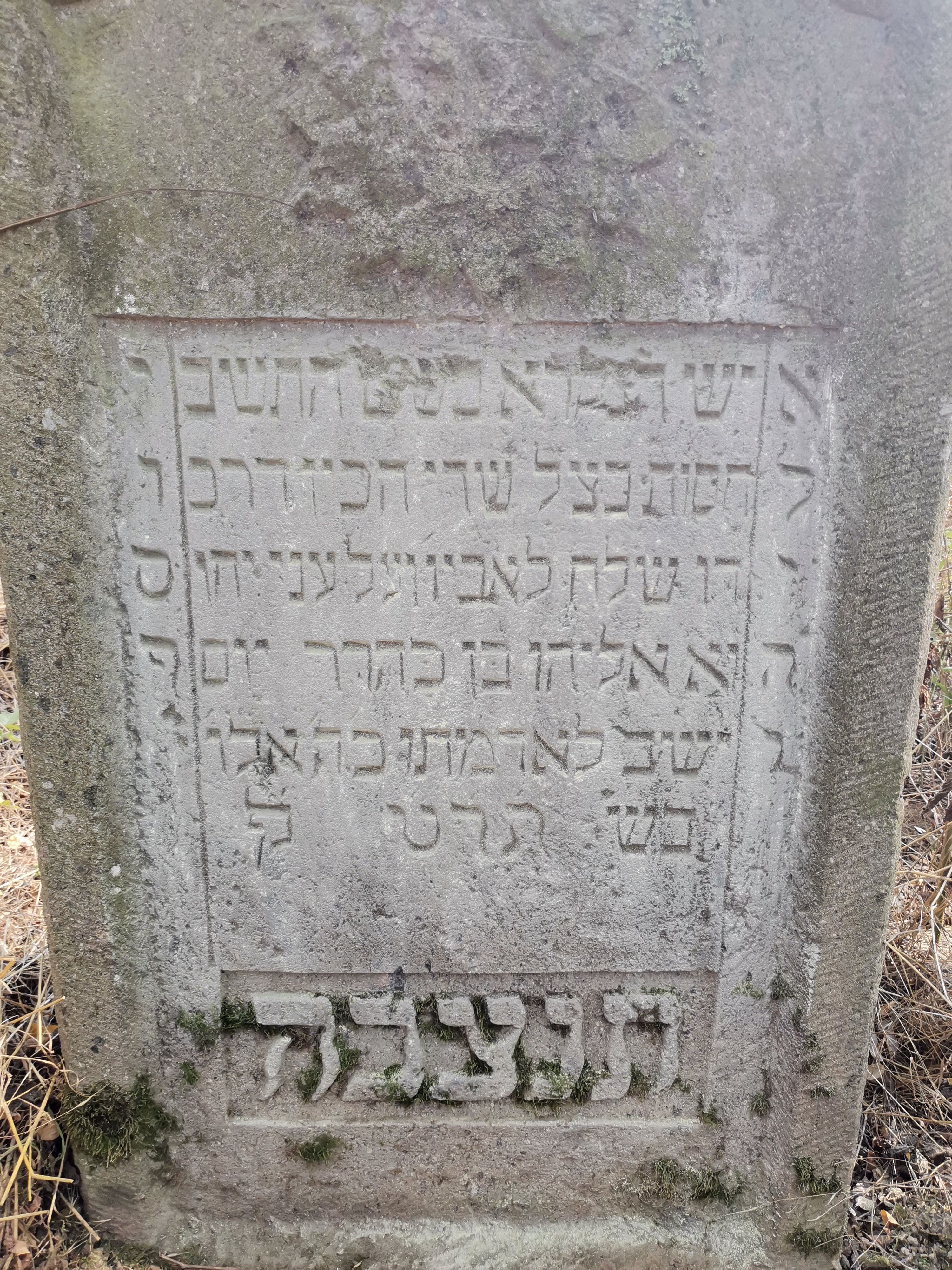 VM114643