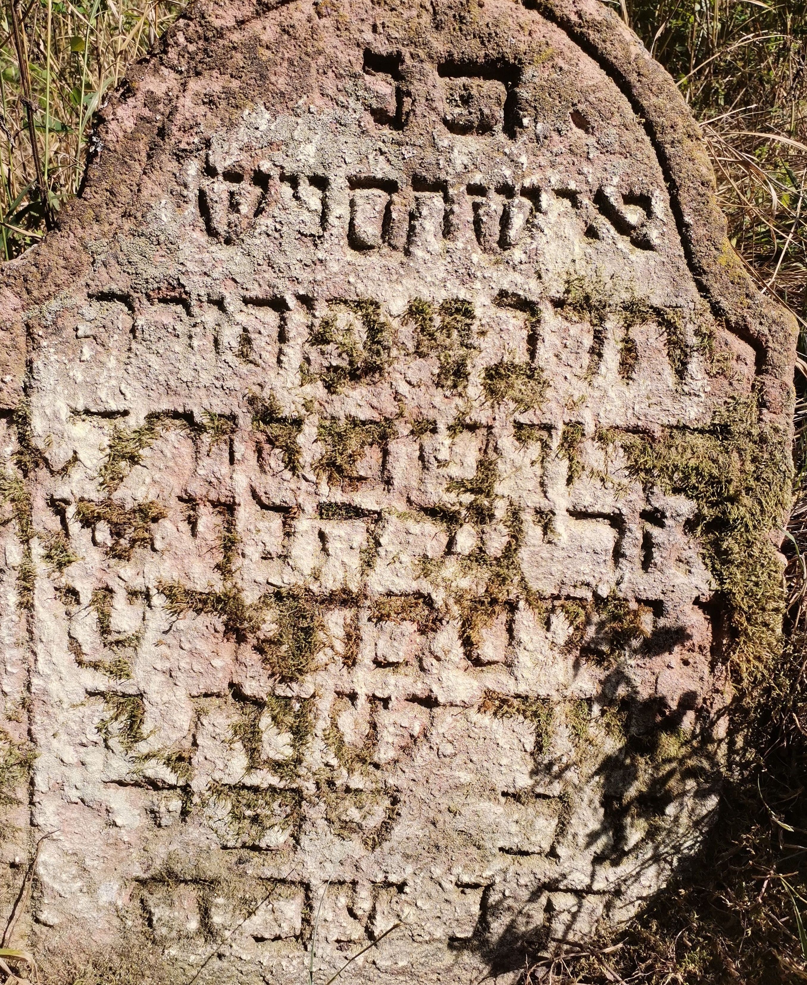 VM114644