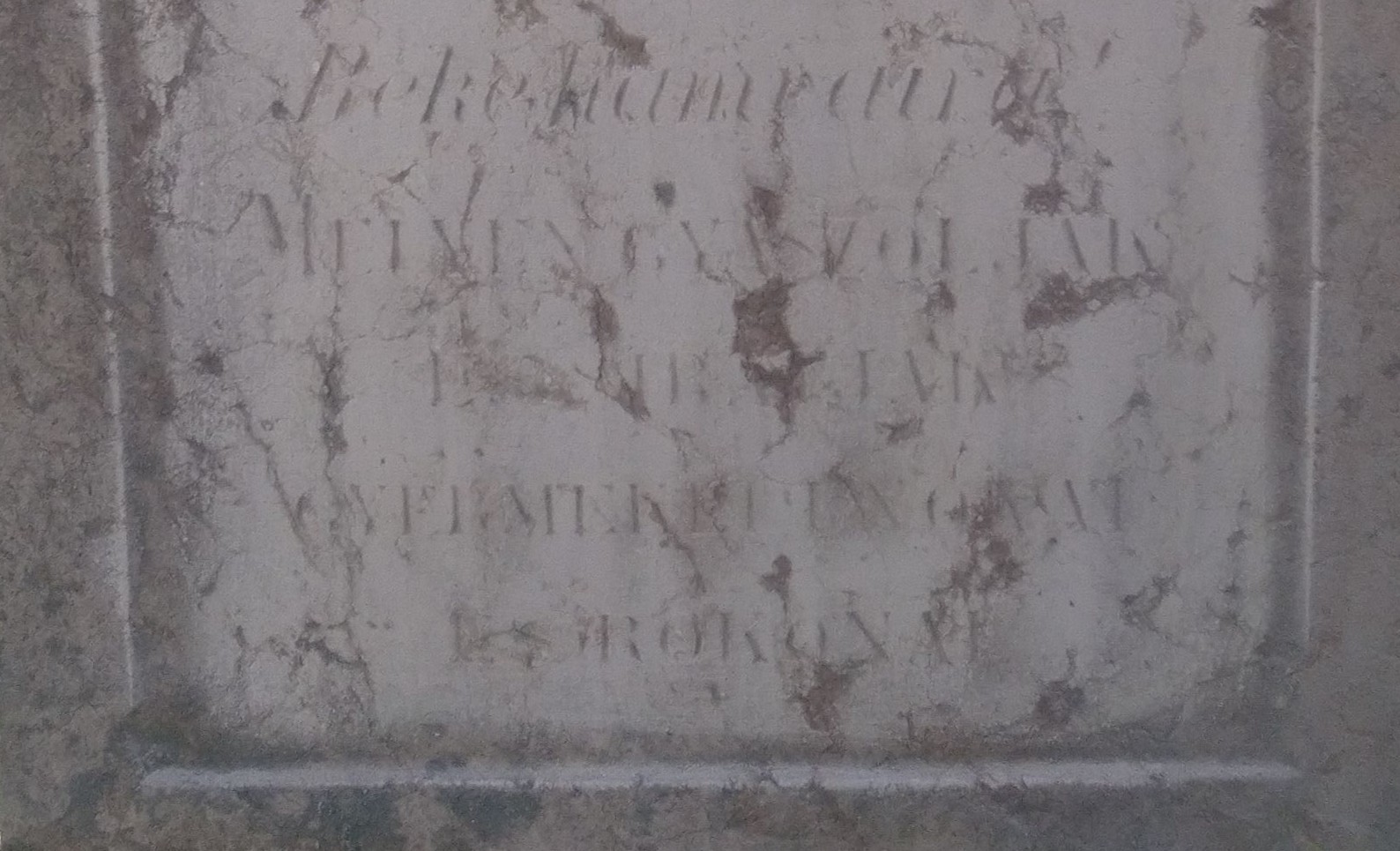 VM114719