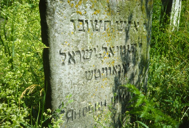 VM114786