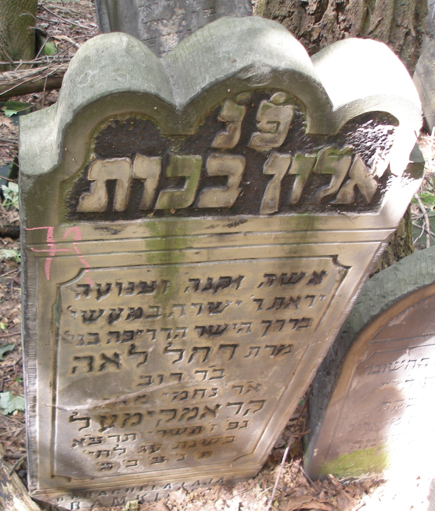 VM114859