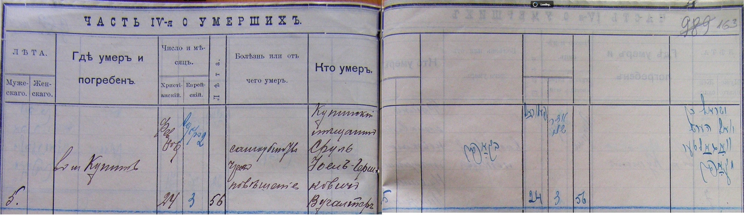 VM115075