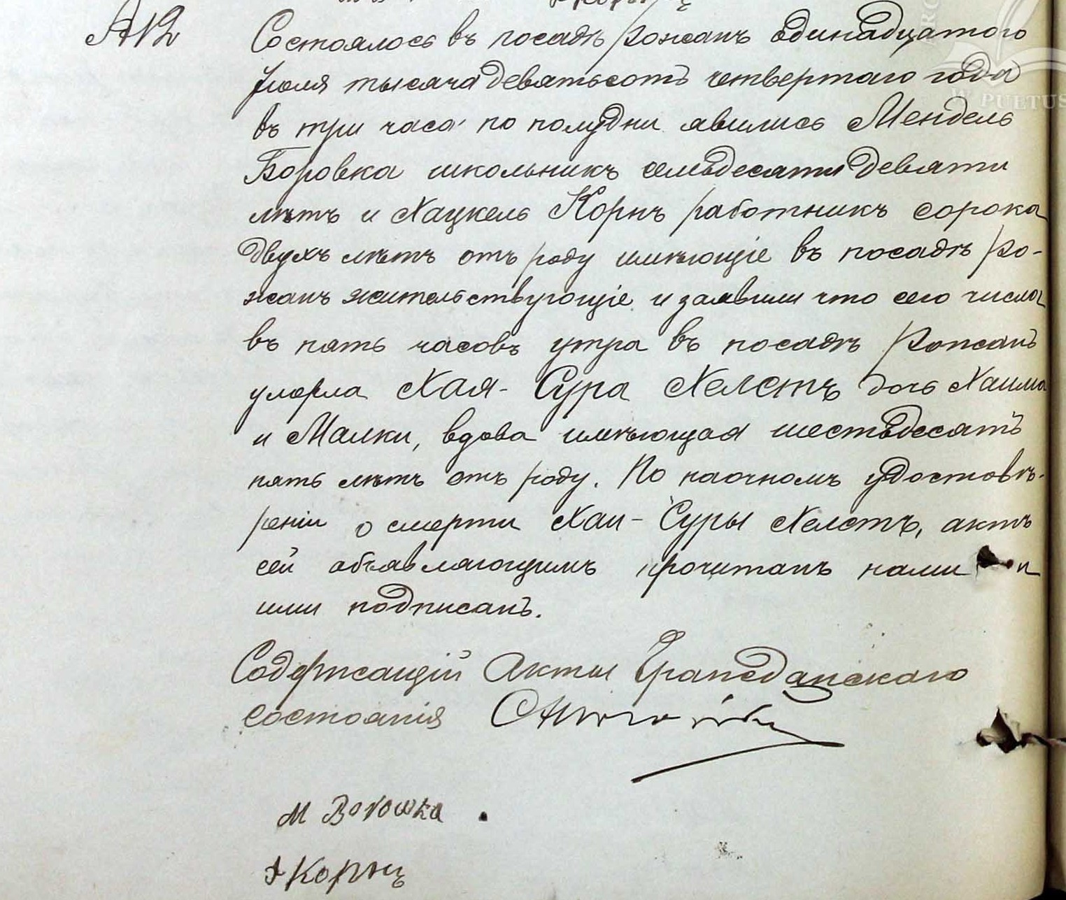 VM115145