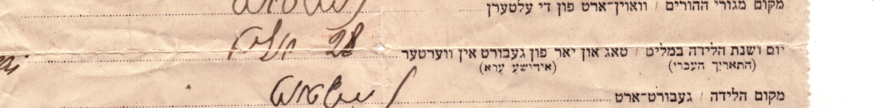 VM115191