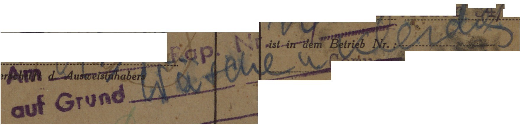 VM115209