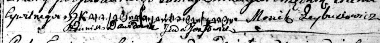 VM115572
