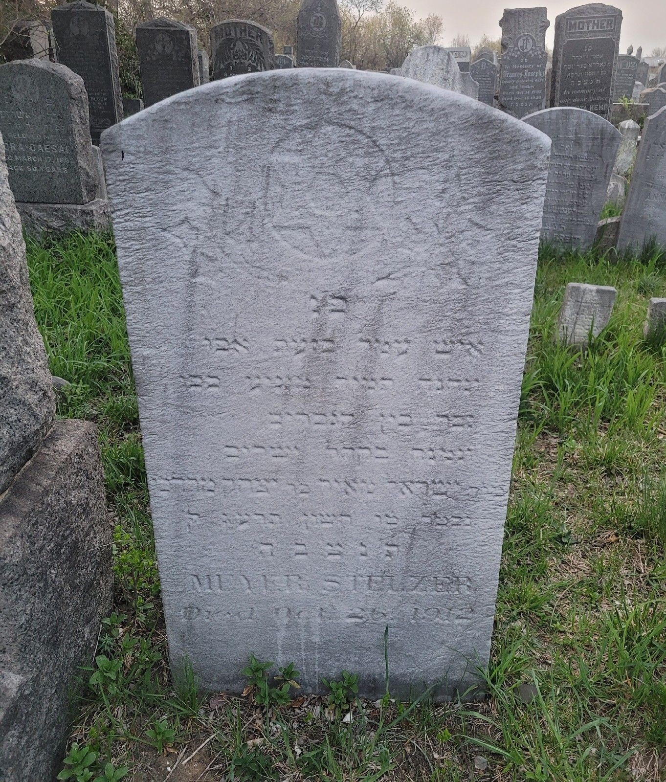 VM115581