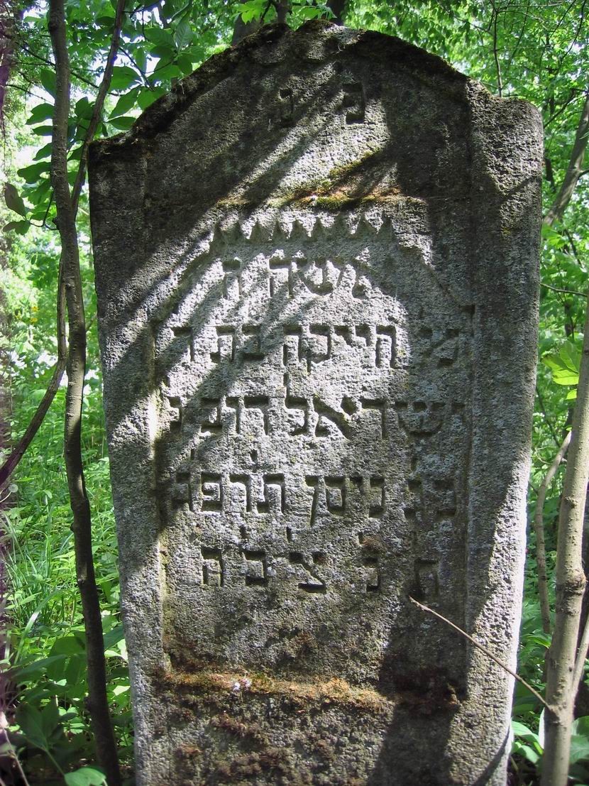 VM13170