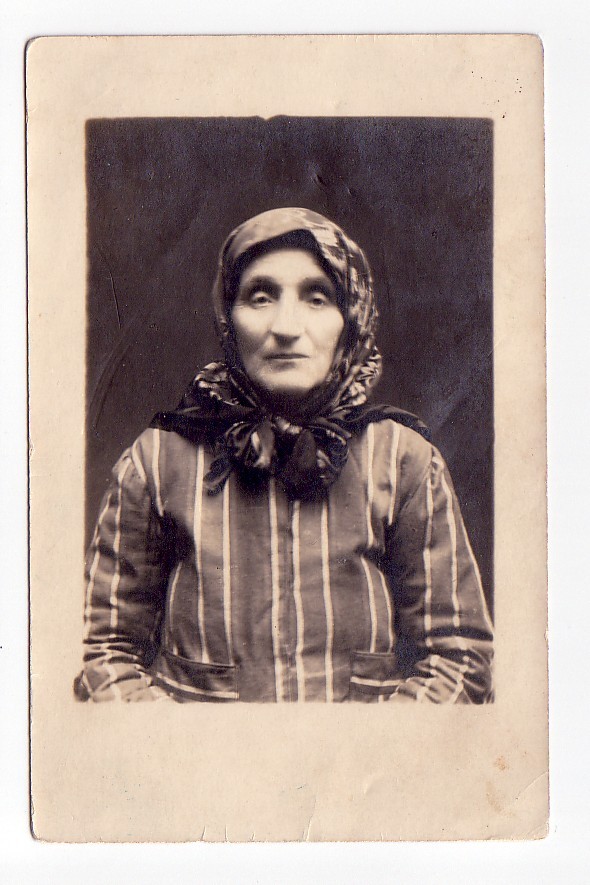 VM239