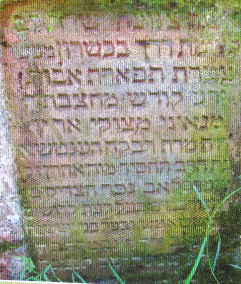 VM21576
