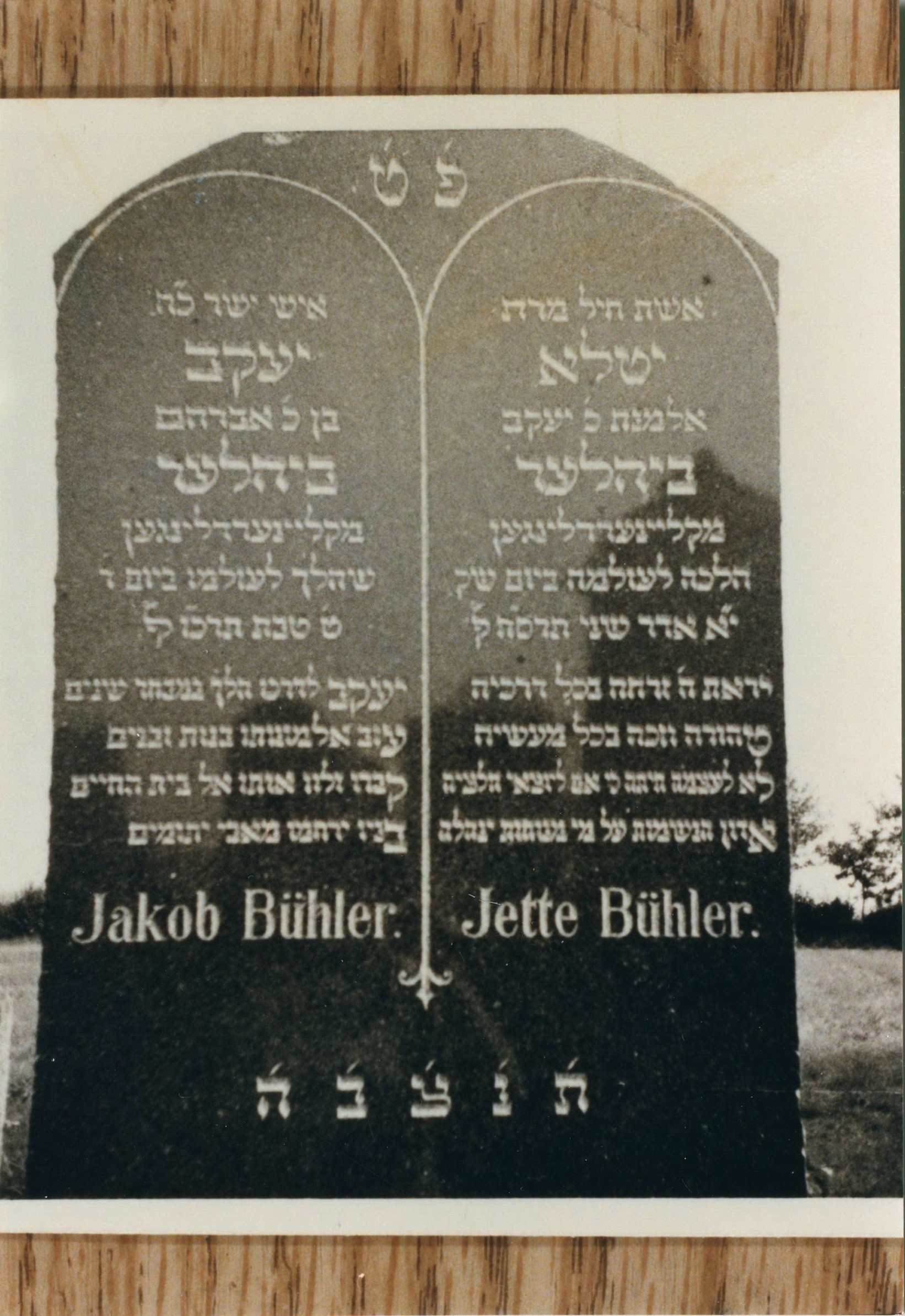 VM30394